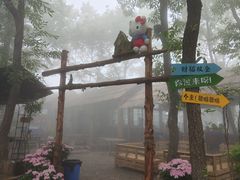 -沂蒙山旅游区云蒙景区(蒙山国家森林公园)