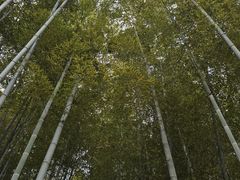 -南北湖风景区