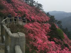 -木兰云雾山