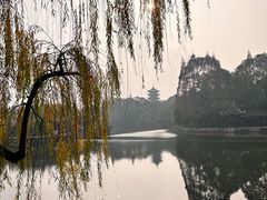 -棠湖公园