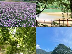 -广州市石门国家森林公园