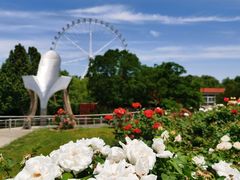 -石家庄市植物园