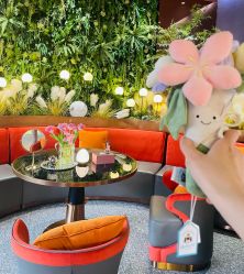 -花隐·美芙炫海菲秀皮肤管理中心