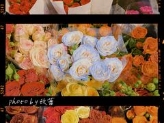 -溪岸路花鸟市场