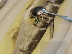 -荷塘秋月·本帮江浙菜(国权路店)