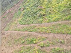 -合肥野生动物园