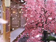 -Blue Concept Cafe&Farm·關於藍