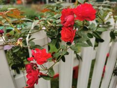 -Club Med地中海俱乐部·桂林度假村