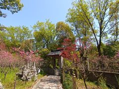 -南汇桃花村