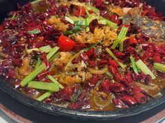 -老板恋上鱼(高新万达店)