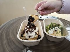 -狐狸和向日葵(北京路店)