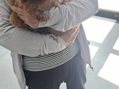 -心仪动物医院·牙专科·肿瘤·心脏科(西客站院)