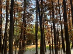 -东湖落雁景区