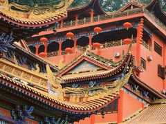 -东莞市大岭山森林公园