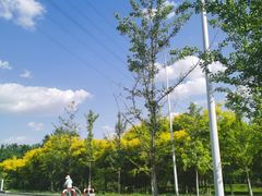 -长白岛森林公园