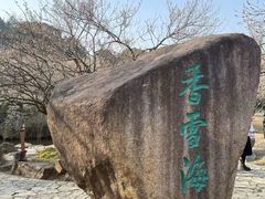 -香雪海