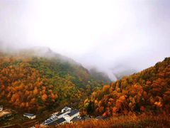 -灵山