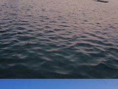-海堤纪念公园