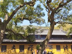-普陀山风景名胜区-法雨禅寺