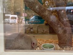 -龙猫仔乐园(惠福东路店)