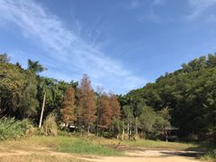 -深圳国际园林花卉博览园