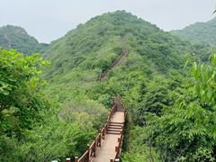 -大岭沟猕猴桃谷风景区