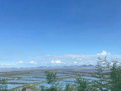 -蛇蟠岛