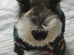 -熊小胖宠物生活馆(天华园店)