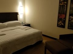 -马尼拉半岛酒店