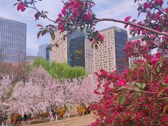 -元大都城垣遗址公园