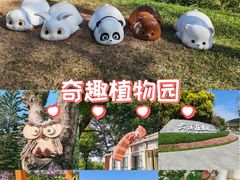 -云溪植物园