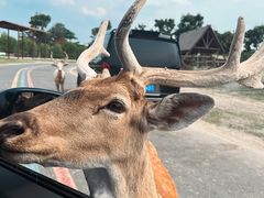 -天猫养车贴膜轻改·蓝电(优匹康桥东路店)