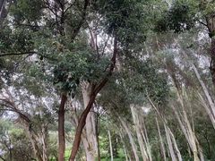 -福建鲤鱼洲酒店