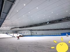 -哈尔滨热雪奇迹