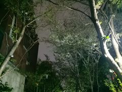 -美兰湖景区