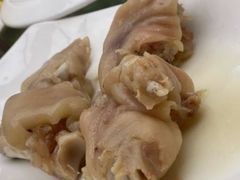 -丁老爷子苏香圆