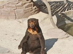 -大连森林动物园