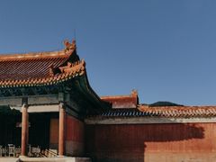 -清东陵