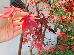 -杭州萧山国际机场