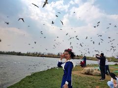 -呈贡滇池生态湿地公园