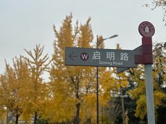 -四川大学(江安校区)