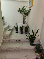 -海涛医疗美容·面部抗衰·注射美鼻