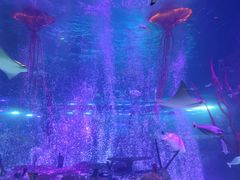 -沈阳海洋探索中心