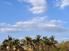 -菌竹轩酒楼(海河天街店)