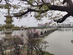 -洛阳桥