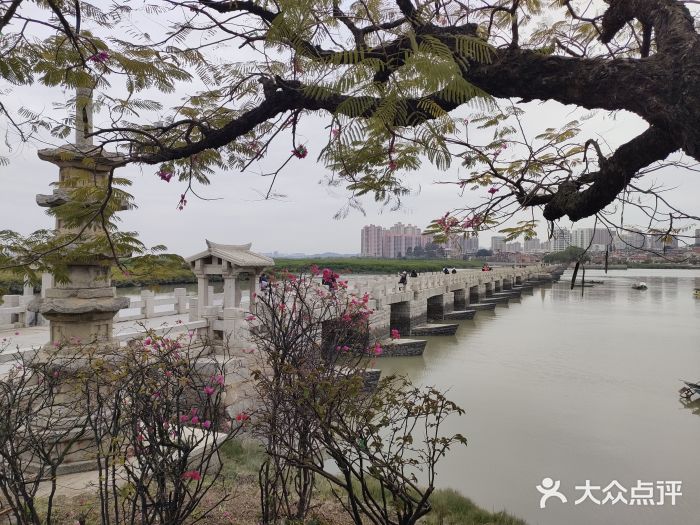 洛阳桥图片