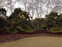 -西湖外事游船(花港观鱼码头)