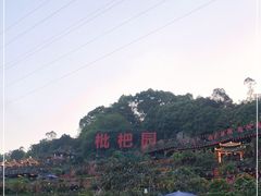 -枇杷园食为鲜火锅(南山店)