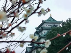 -名古屋城