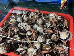 -金渔村海鲜烧烤大排档